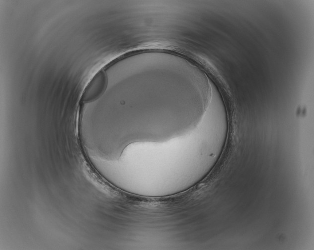 X0000111021276200907101332