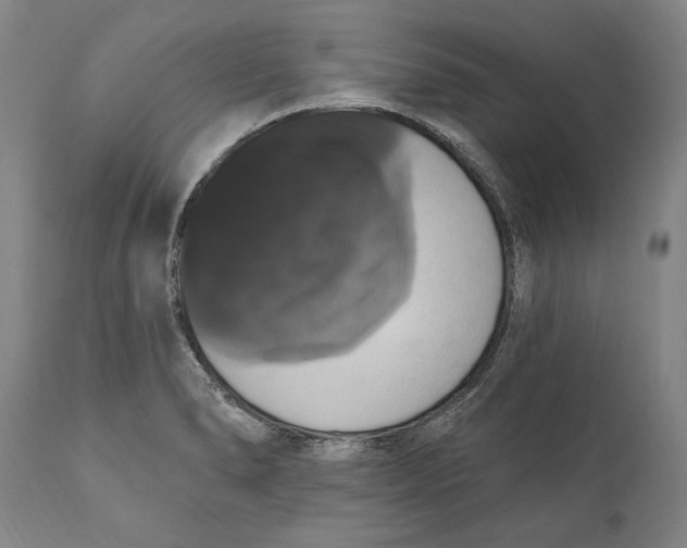 X0000111021278200907101332