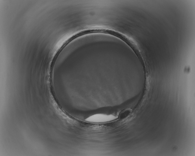 X0000111021279200907101332