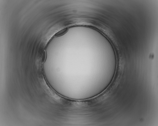 X0000111021281200907101332