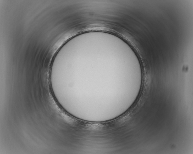 X0000111021282200907101332
