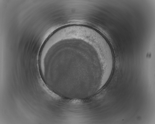 X0000111021283200907101332