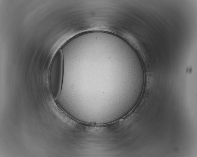 X0000111021284200907101331