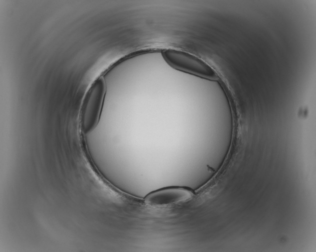 X0000111021285200907101331