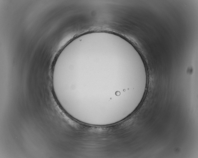 X0000111021286200907101331