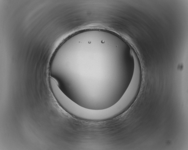 X0000111021288200907101331