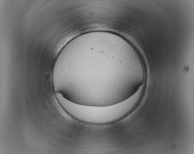 X0000111021289200907101331