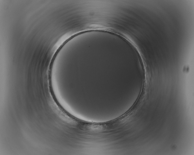 X0000111021291200907101331