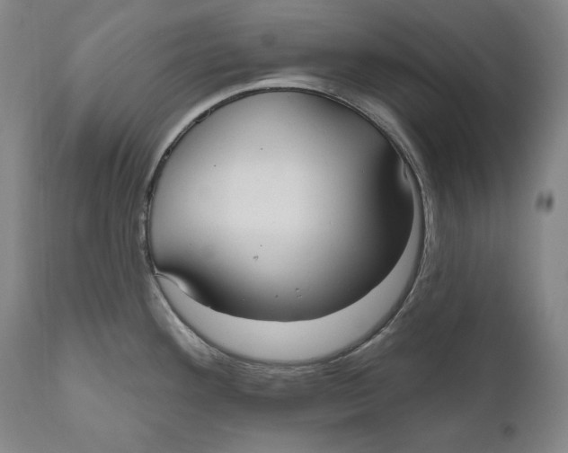 X0000111021292200907101331