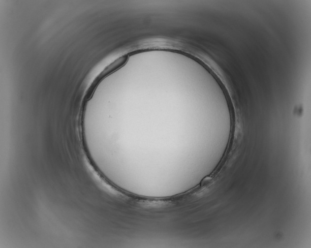 X0000111021293200907101331