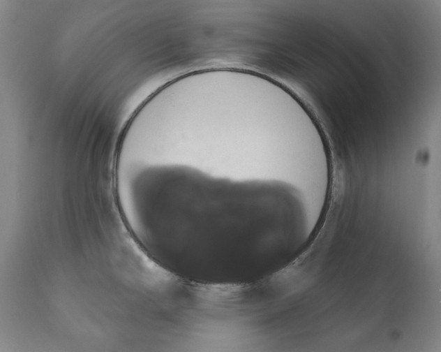 X0000111021294200907101331