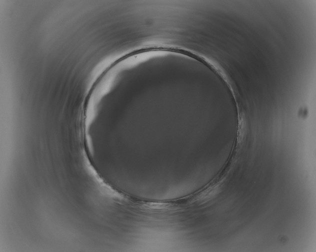 X0000111021295200907101331