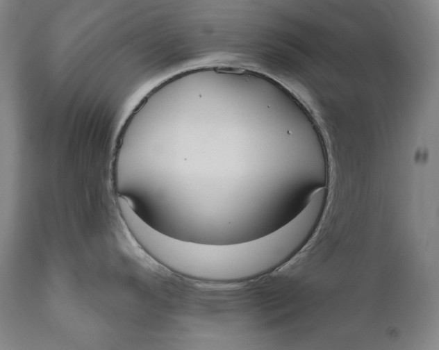 X0000111021296200907101331