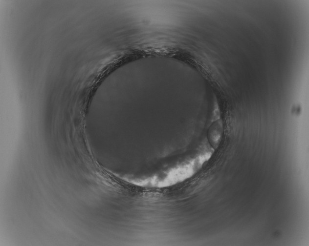 X0000111021297200907101331