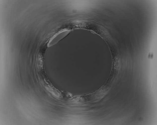 X0000111021298200907101331