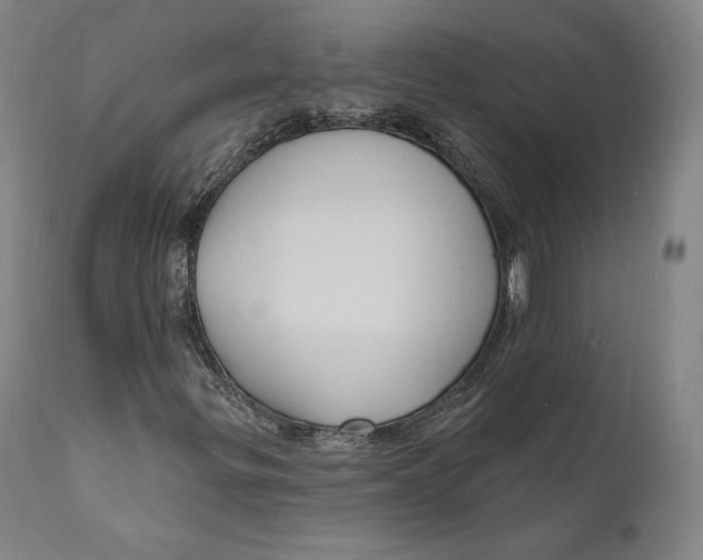 X0000111021299200907101331