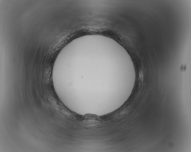 X0000111021300200907101331