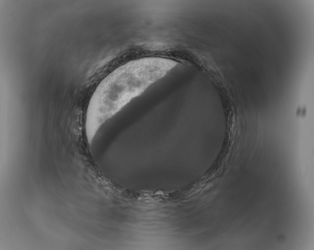 X0000111021301200907101331