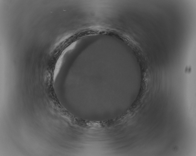 X0000111021302200907101331