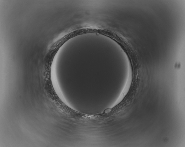 X0000111021303200907101331