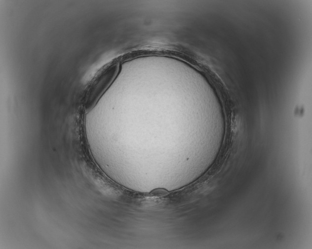 X0000111021304200907101331