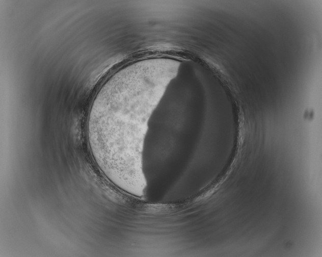 X0000111021305200907101331