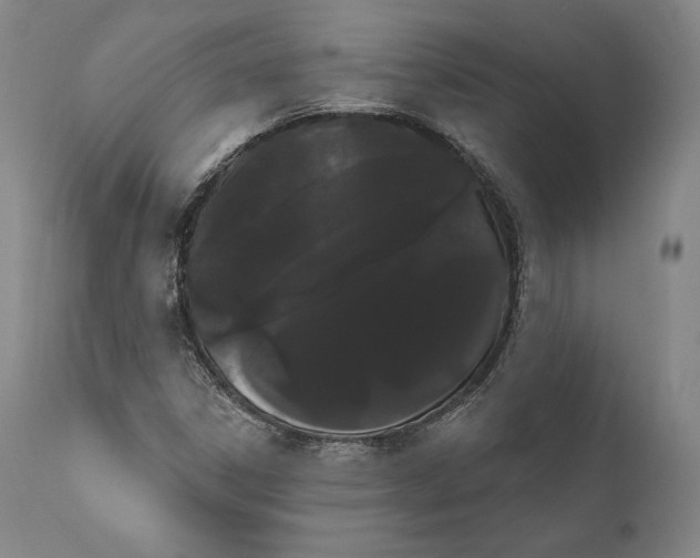 X0000111021306200907101331