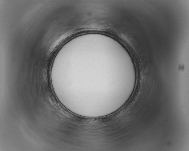 X0000111021307200907101331