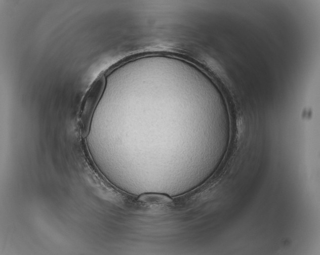 X0000111021308200907101331