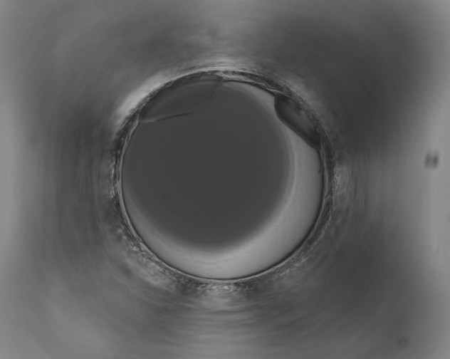 X0000111021310200907101331