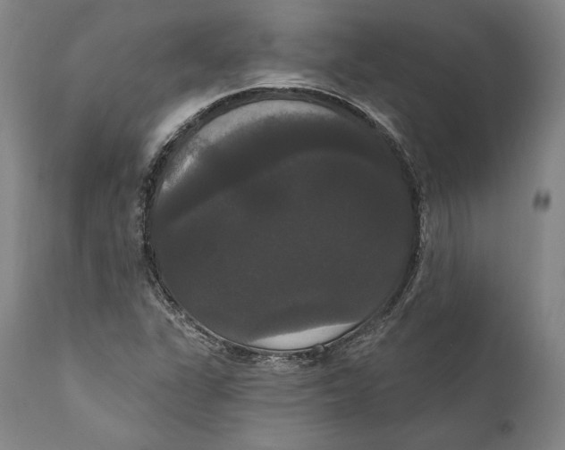 X0000111021311200907101331