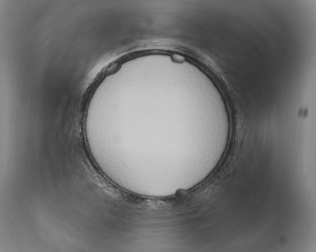 X0000111021312200907101331