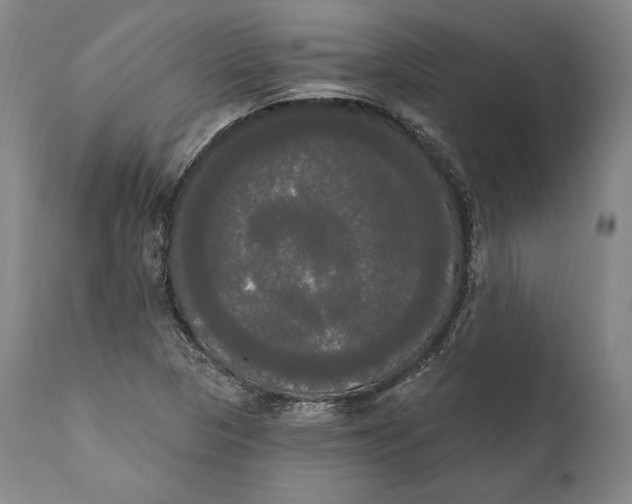 X0000111021313200907101331