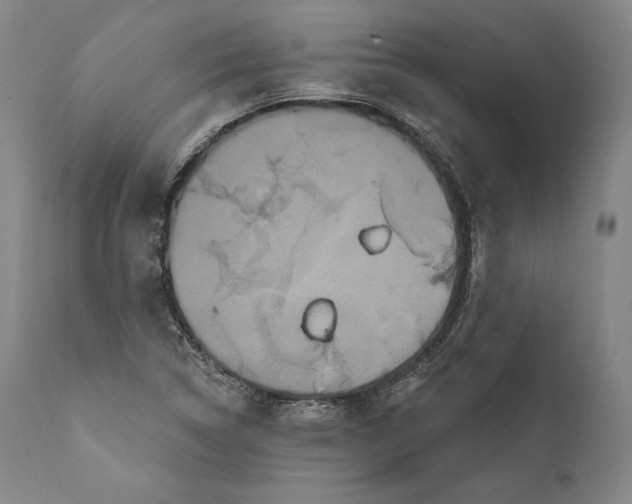 X0000111021314200907101331