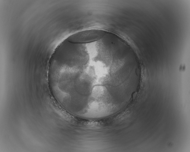 X0000111021316200907101331