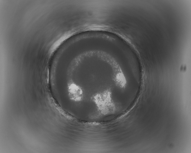 X0000111021317200907101331