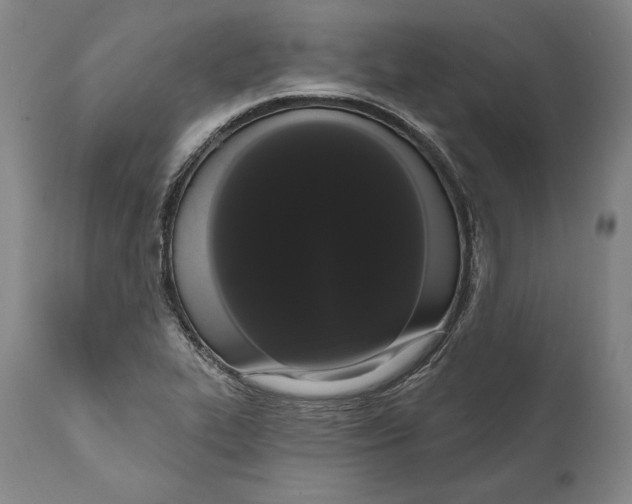 X0000111021319200907101331
