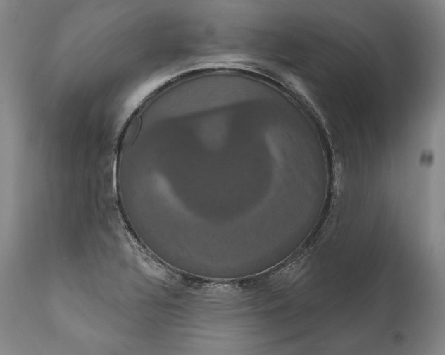 X0000111021320200907101331