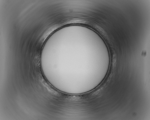 X0000111021321200907101331