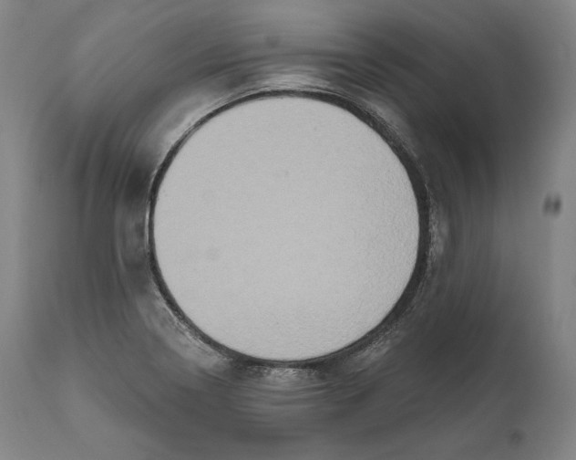 X0000111021322200907101331