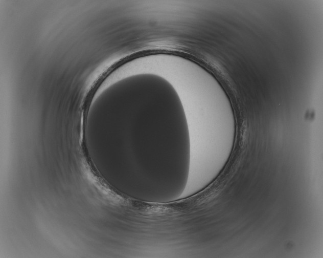 X0000111021323200907101331