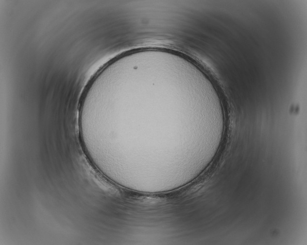 X0000111021324200907101331