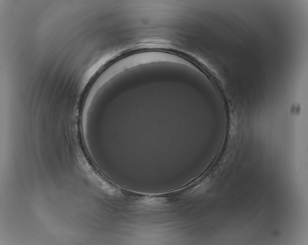 X0000111021325200907101331