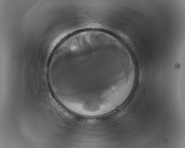 X0000111021326200907101331