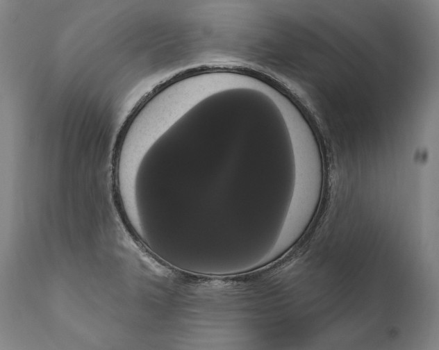 X0000111021327200907101331
