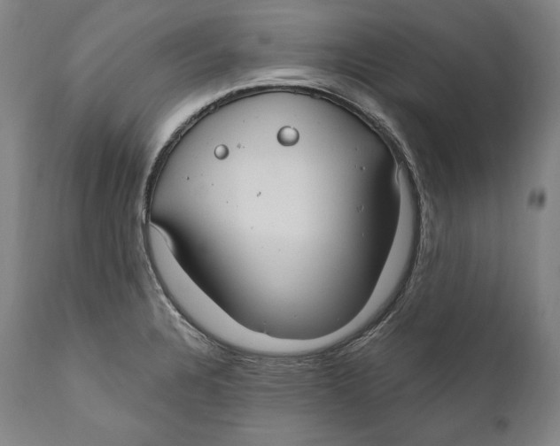 X0000111021328200907101331