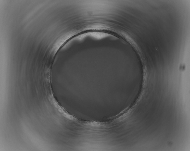 X0000111021329200907101331