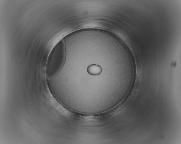 X0000111021330200907101331