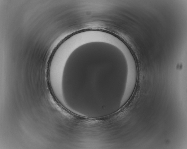 X0000111021331200907101331