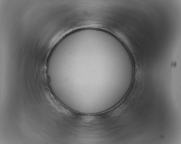 X0000111021332200907101331